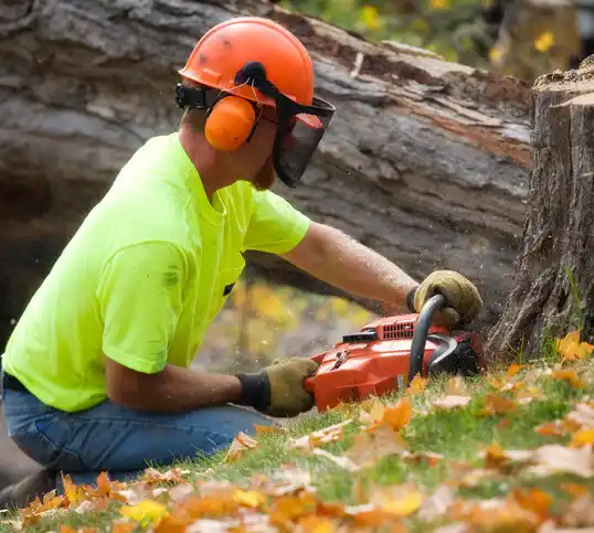 tree services Shell Knob